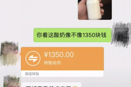 徐州为什么选择专业追讨公司来处理您的债务纠纷？